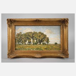 Erwin Steiner, »Weiden in Blumenwiese«