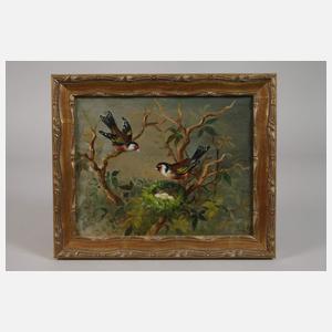 Stieglitzpaar mit Nest