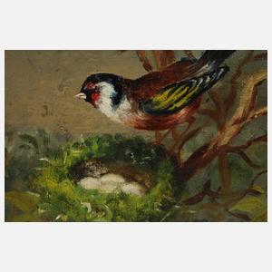 Stieglitzpaar mit Nest