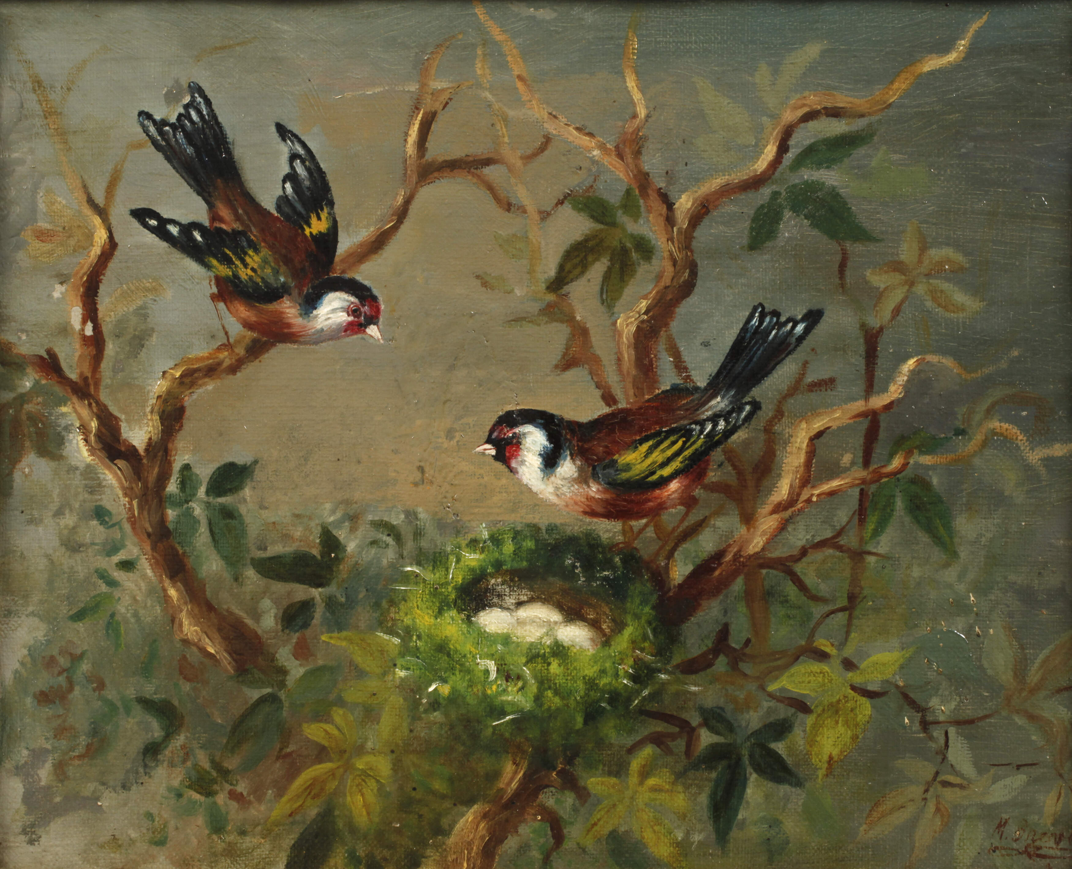 Stieglitzpaar mit Nest