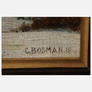 Bosman, Winterliche Mittelgebirgsansicht