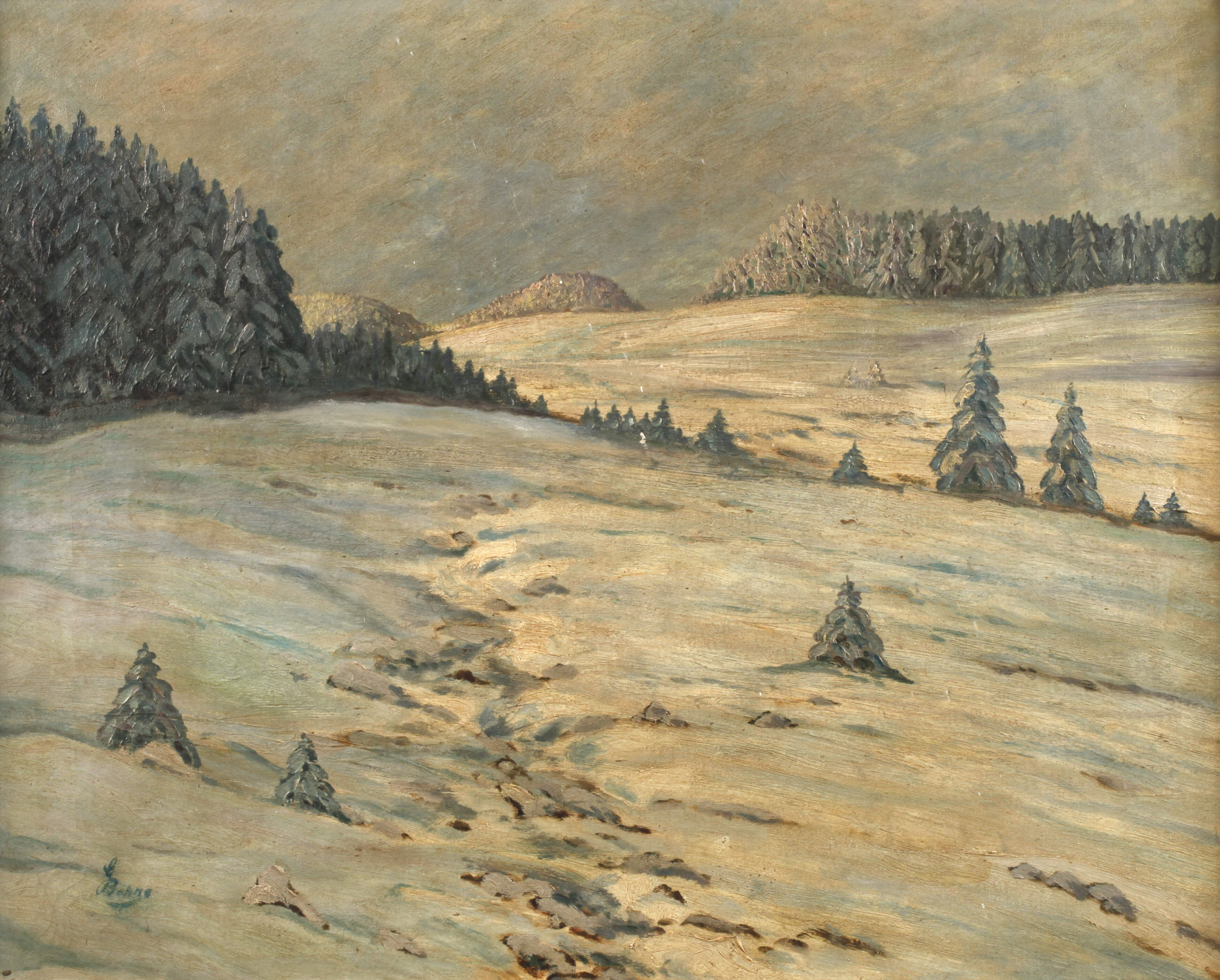 Bohne, Verschneites Feld