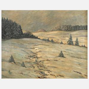 Bohne, Verschneites Feld