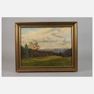 Herbstlicher Waldrand im Alpenvorland