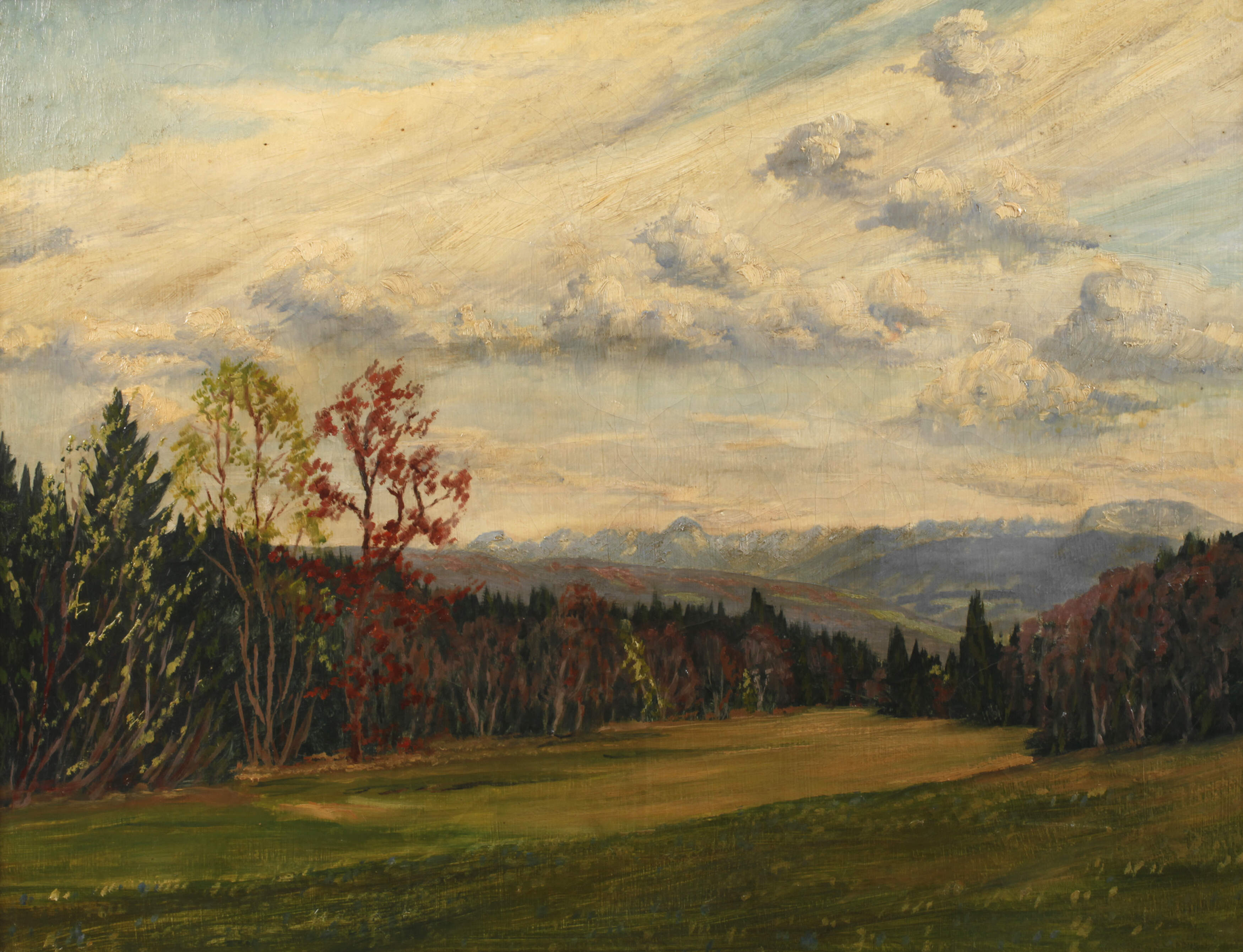 Herbstlicher Waldrand im Alpenvorland