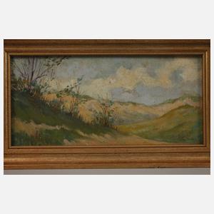 Paar Dünenlandschaften