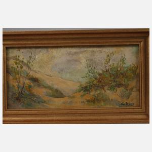 Paar Dünenlandschaften