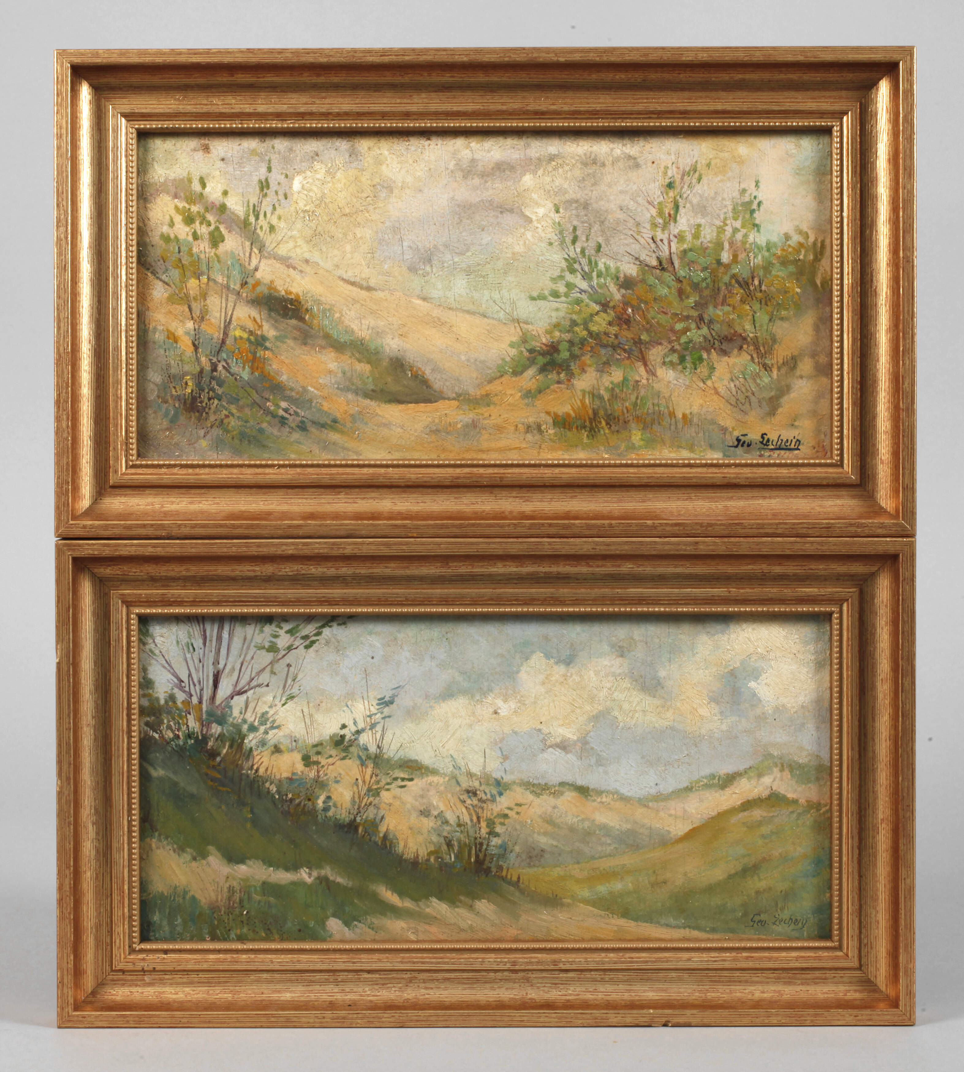 Paar Dünenlandschaften