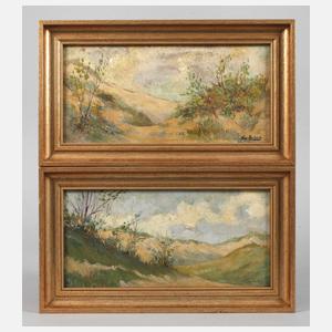 Paar Dünenlandschaften