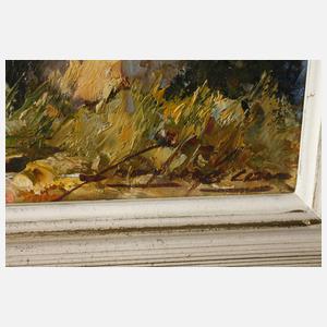 Finca in mediterraner Landschaft