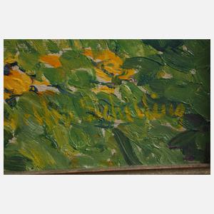 Bertha Schilling, "Wassergraben im Moor"