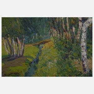 Bertha Schilling, "Wassergraben im Moor"