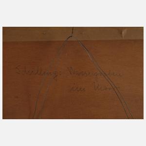 Bertha Schilling, "Wassergraben im Moor"