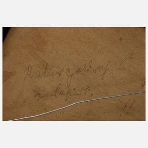 Zwei Damenakte im Interieur