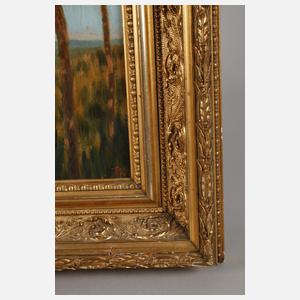 Sommerlicher Kiefernwald