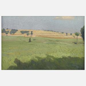 Willy Mulot, Sommerliche Wiesen