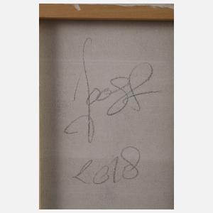 Joost de Jonge, Dynamische Farbflächenkomposition