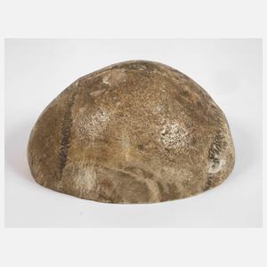 Anatomisches Anschauungsobjekt