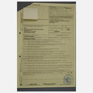 Sonnenschirm Elfenbein