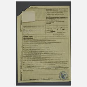 Spazierstock Elfenbein