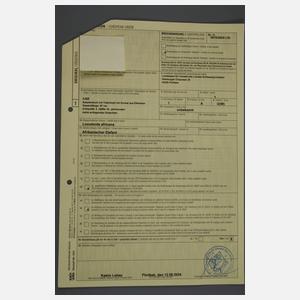 Spazierstock Elfenbein