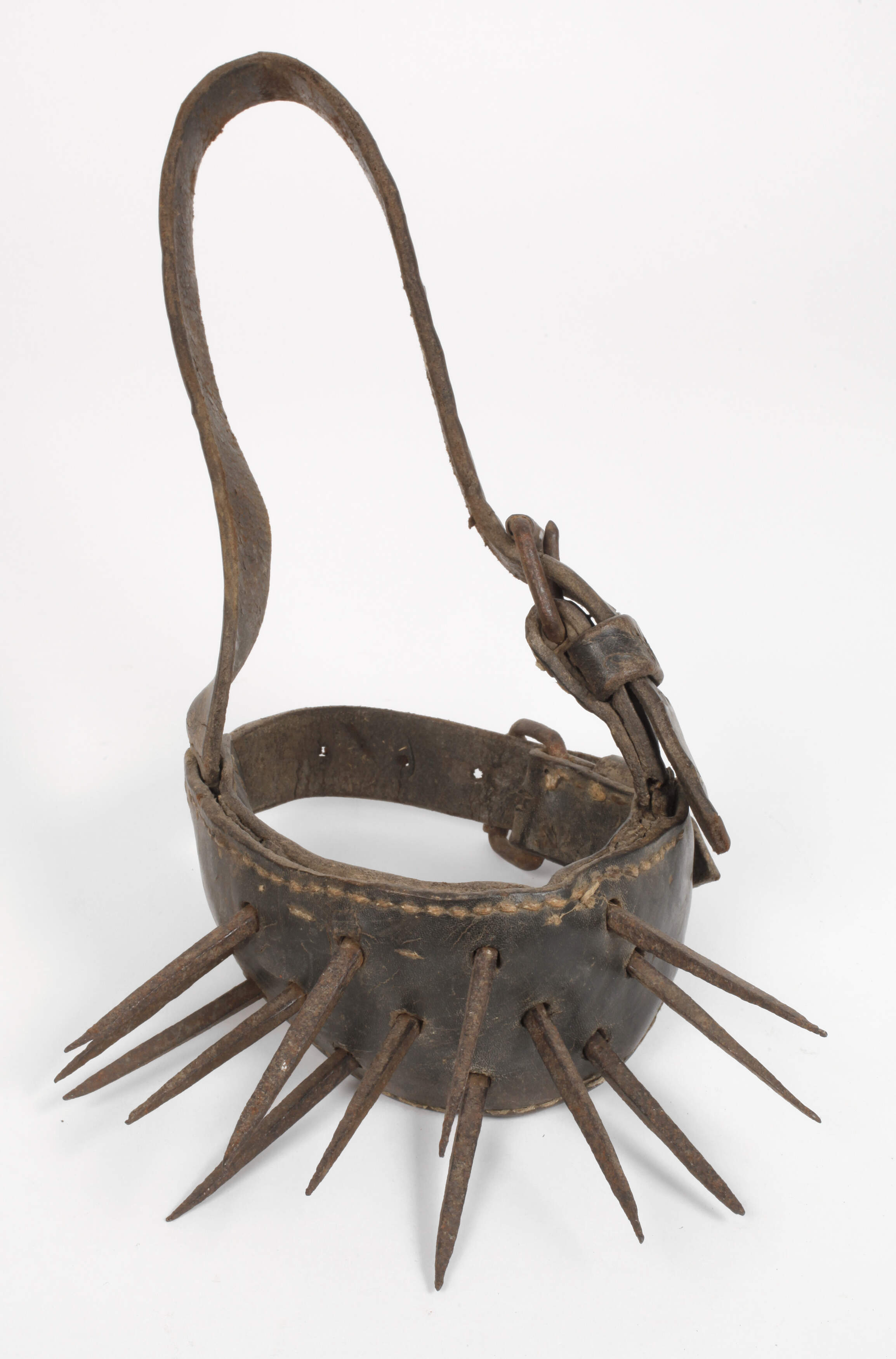 Ledergeschirr mit Dornen