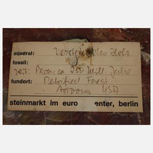 Segment versteinertes Holz