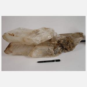 Großer Gipskristall