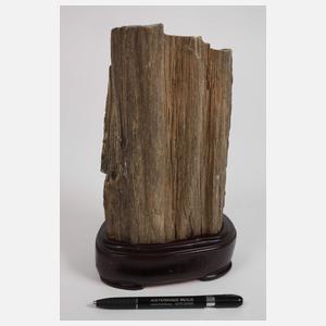 Versteinertes Holz