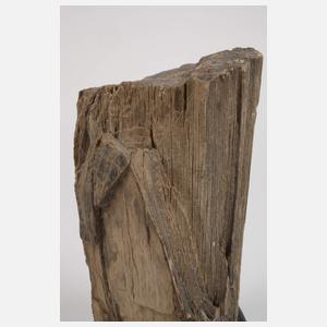 Versteinertes Holz