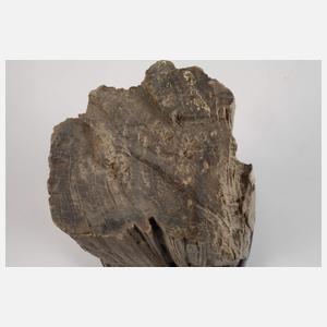 Versteinertes Holz