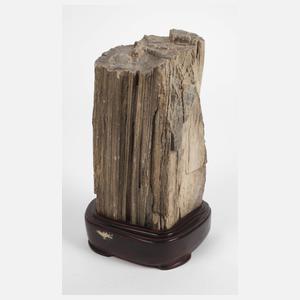 Versteinertes Holz