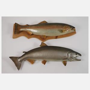 Konvolut Tierpräparate