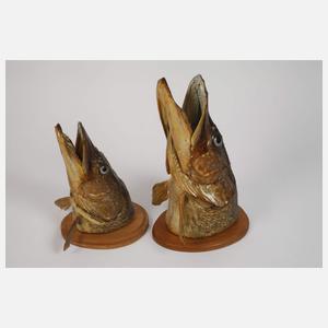 Konvolut Tierpräparate