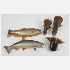 Konvolut Tierpräparate