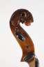 Violine