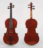 Violine