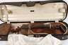 Violine im Etui