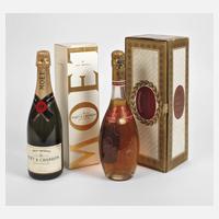 Zwei Flaschen Champagner111