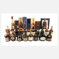 Konvolut Spirituosen111