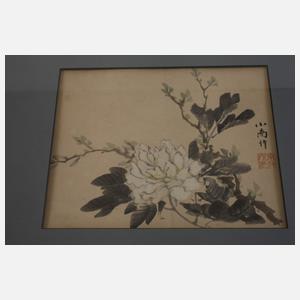 Drei chinesische Tuschpinselzeichnungen