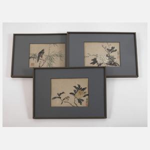 Drei chinesische Tuschpinselzeichnungen