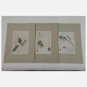 Großes Konvolut Papierarbeiten