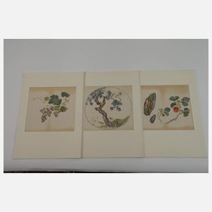 Großes Konvolut Papierarbeiten