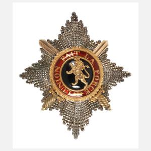 Leopold-Orden, Bruststern zum Großkreuz