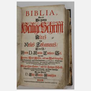 Biblia Ulm 1688