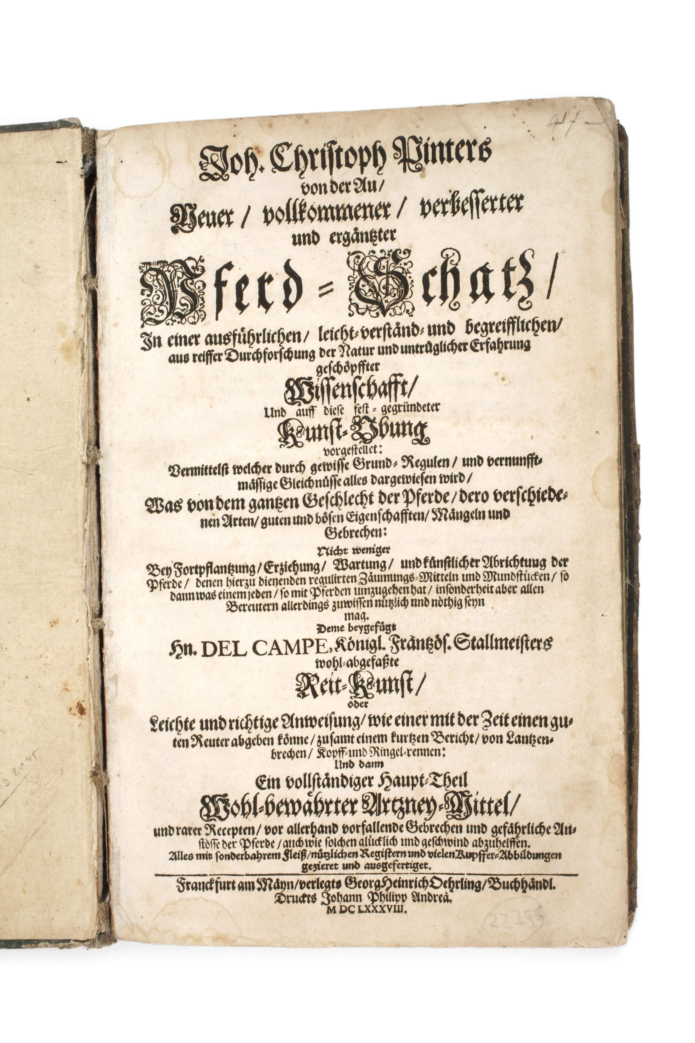 Pferd-Schatz 1688