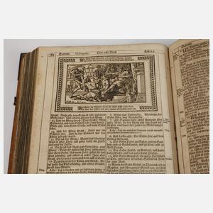Dilherr/Endter Bibel 1720