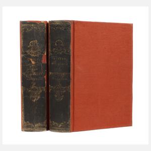 Geschichte der Haupt- und Residenzstadt Dresden