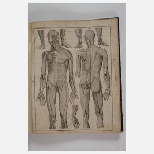 Abbildungen zu Okens Naturgeschichte